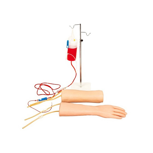 手部、肘部组合式静脉输液（血）训练模型