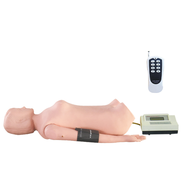数字遥控式全自动腹部触诊听诊模拟人（含血压手臂）
