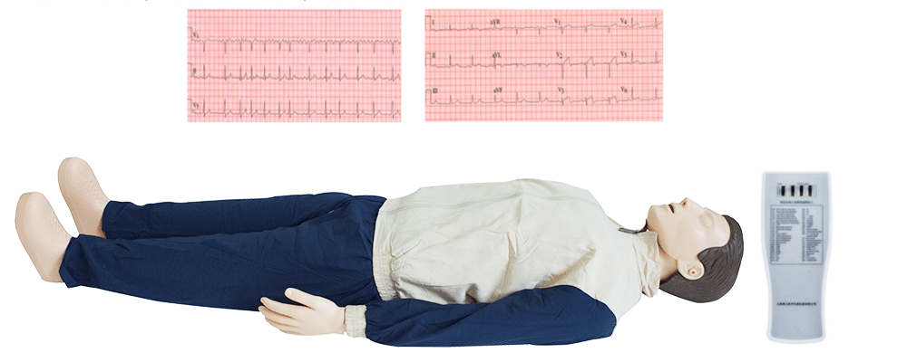 多种心电图电脑模拟人